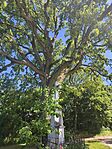 IMG_20260513_102855