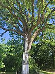 IMG_20260513_102817