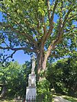 IMG_20260513_102803