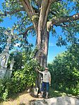 IMG_20260513_102558