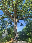 IMG_20260513_102520