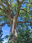 IMG_20260513_102452