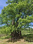 IMG_20260513_143925