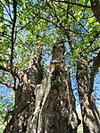 IMG_20260513_144102