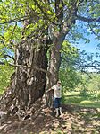IMG_20260513_144017