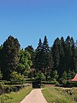 IMG_20260514_095238