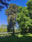 IMG_20260514_094727