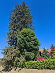IMG_20260514_093949