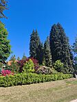 IMG_20260514_093939