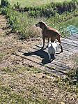 IMG_20260514_093636