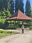 IMG_20260514_093631