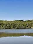 IMG_20260514_093616