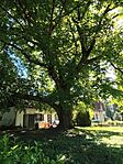 IMG_20260514_093337