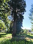 IMG_20260514_093314