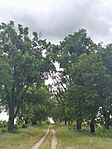 IMG_20260515_131320