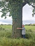 IMG_20260515_131519