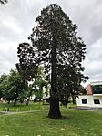 IMG_20260517_101716