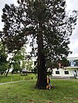 IMG_20260517_101756