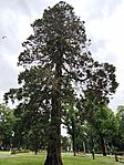 IMG_20260517_101939