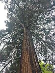 IMG_20260517_101851