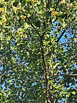 IMG_20260521_081512
