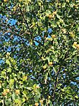 IMG_20260521_081504