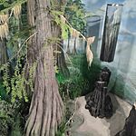 IMG_20260520_103949