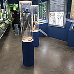 IMG_20260520_105620