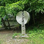 IMG_20260520_150244