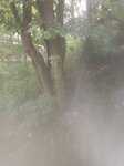 log-image-1780131143858-0