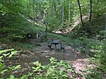 IMG_1180