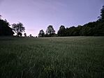 20260523_043121