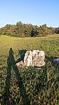 IMG_20260523_190332