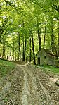 IMG20260501123721