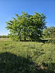 20260503_074757