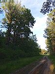 IMG_20260509_1841 Körtvélyes