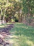 IMG_20260510_170421_912