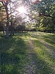 IMG_20260510_175501_160