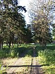 IMG_20260510_180419_119