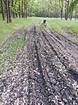 IMG_20260510_190124_210