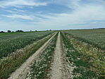 IMGP0010