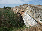 IMGP0011
