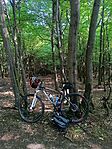 IMG_20260628_075813_877
