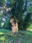 log-image-1781005661568-0
