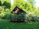 IMG_20260616_083041689_MFNR