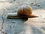 IMG_20260616_101358163_SR