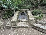 IMG_3574