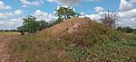 IMG_20260602_105418