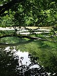 IMG_20260530_074017