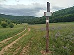 IMG_20260530_112033
